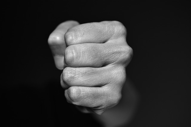 assault occasioning actual bodily harm